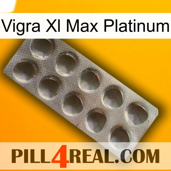 Vigra Xl Max Platinum 30.jpg